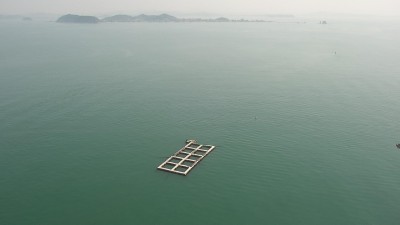경기도, 해면 양식장 관리 실태조사 200건 추진